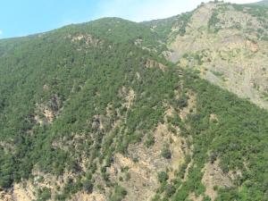 Les gorges de la Chiffa