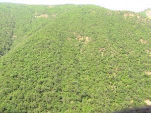 Les gorges de la Chiffa