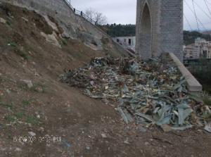 Arrachage des agaves du Rocher de Constantine