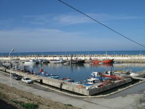 NOUVEAU PORT DE GOURAYA (Tipaza):  8.000 tonnes de pêche espérées
