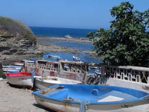 DELLYS - Pêcheurs en grève dans un port obsolète