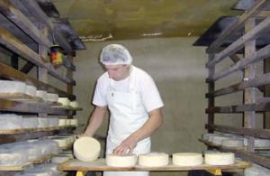 Aït Oumalou (Tizi-Ouzou) -  Formation dans la fabrication de fromages