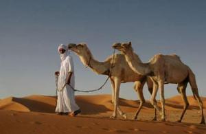 Tourisme : Les dernières mesures favorablement accueillies par les opérateurs de Tamanrasset