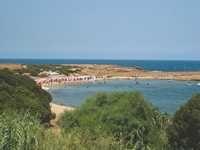 Tipasa -  Les Français à la rescousse des anses de Kouali  Aménagement de la réserve naturelle