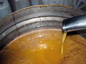 Jijel - Production oléicole:  Des prévisions revues à la baisse