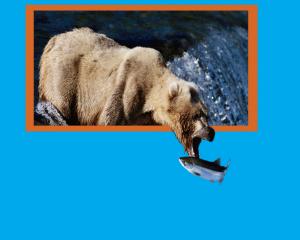 لا تقتل نفسك لتعيش