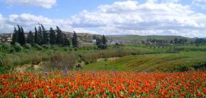 au pres de loued elabd