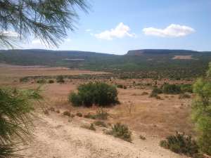 abid ibrahim ain el hadid frenda tiaret