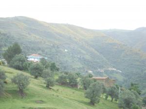 Tadart Imezgharen ouest