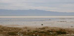 Es Senia (Oran) - Opération d'assainissement d'envergure à la grande Sebkha