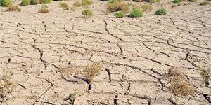 Béchar -  La sécheresse inquiète