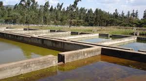 Aquaculture : 3ème Atelier sous-régional maghrébin de formation à Tipaza