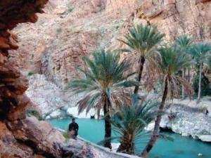 Ressources hydriques de Chott Melrhir à Biskra :  L’extraction de l’eau sera plus coûteuse