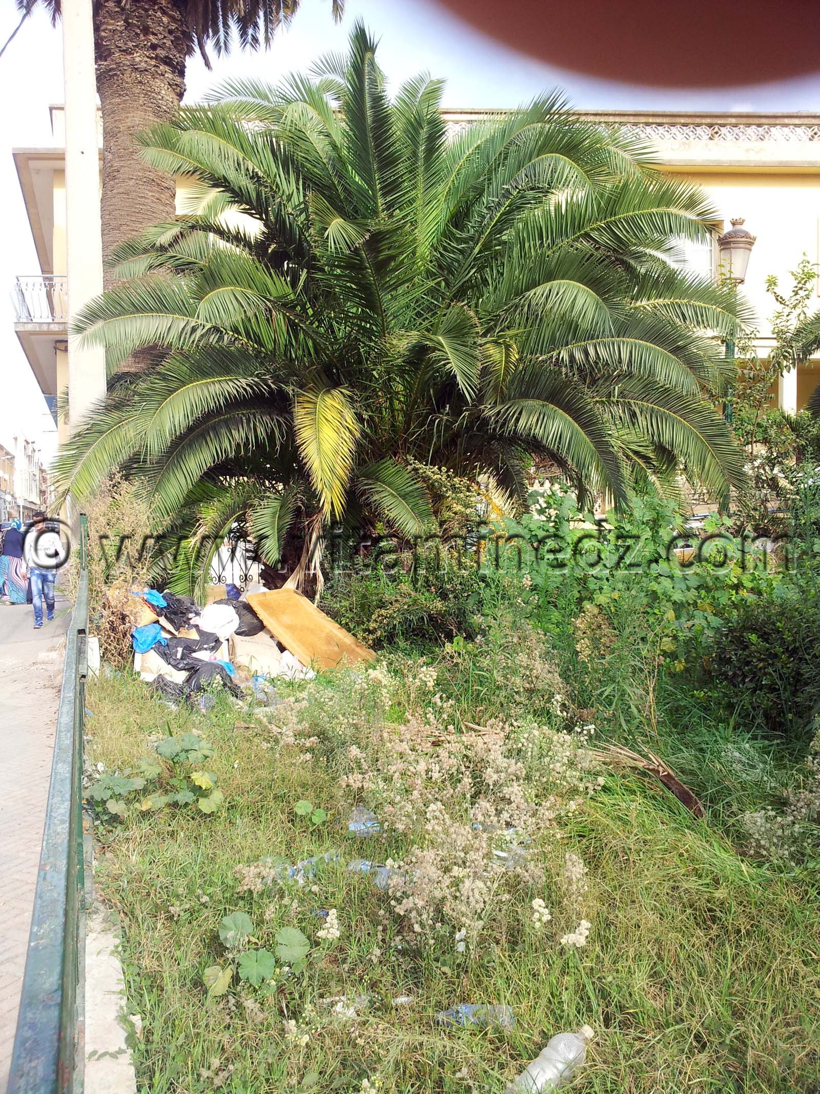 Jardin de Blass El 3awd, une décharge, honte au nouveau maire - Photos de Tlemcen 2013