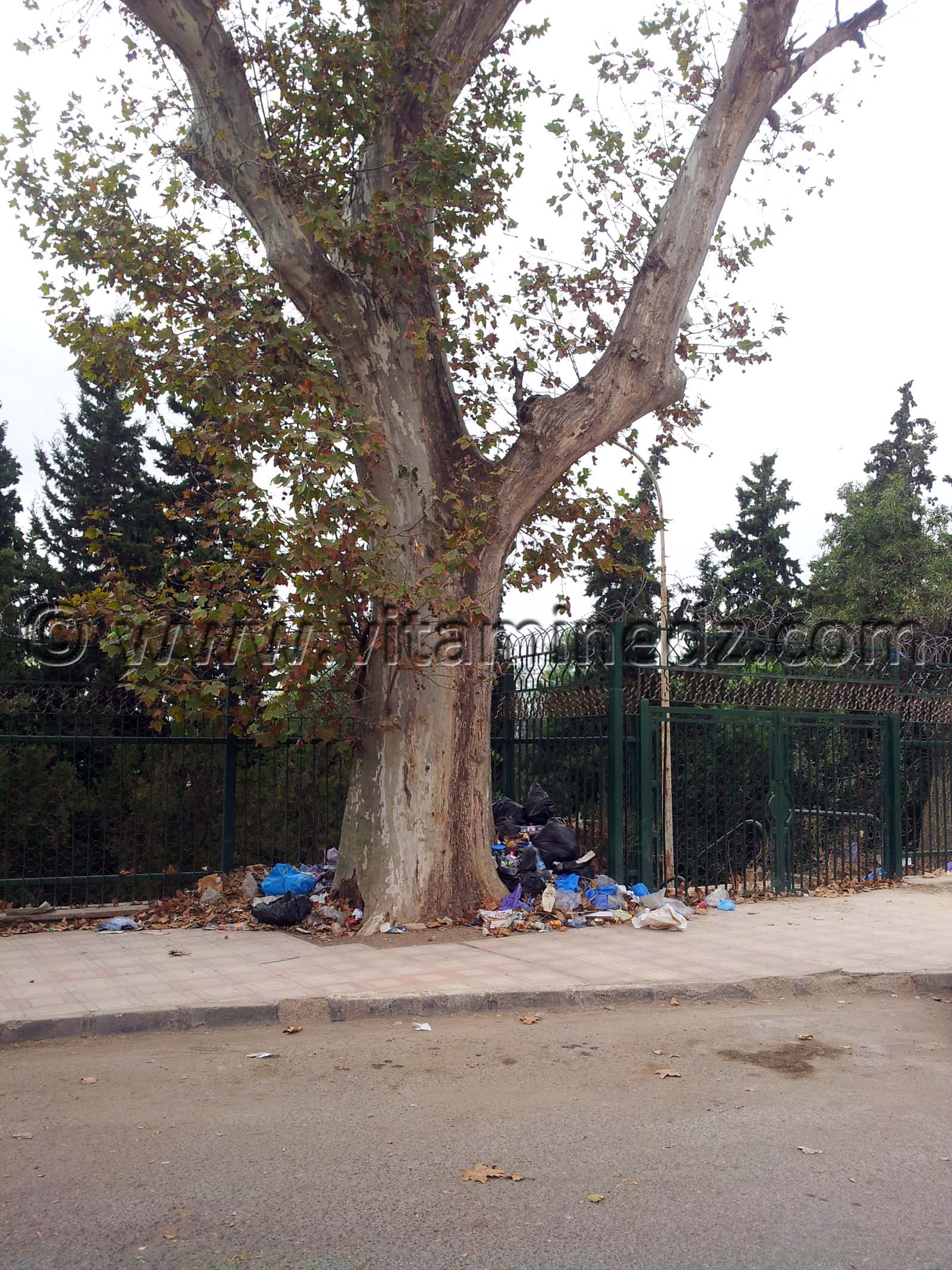 Les décharges sauvages mitoyen de la wilaya de Tlemcen ... Le maire fait quoi? Photos de Tlemcen 2013