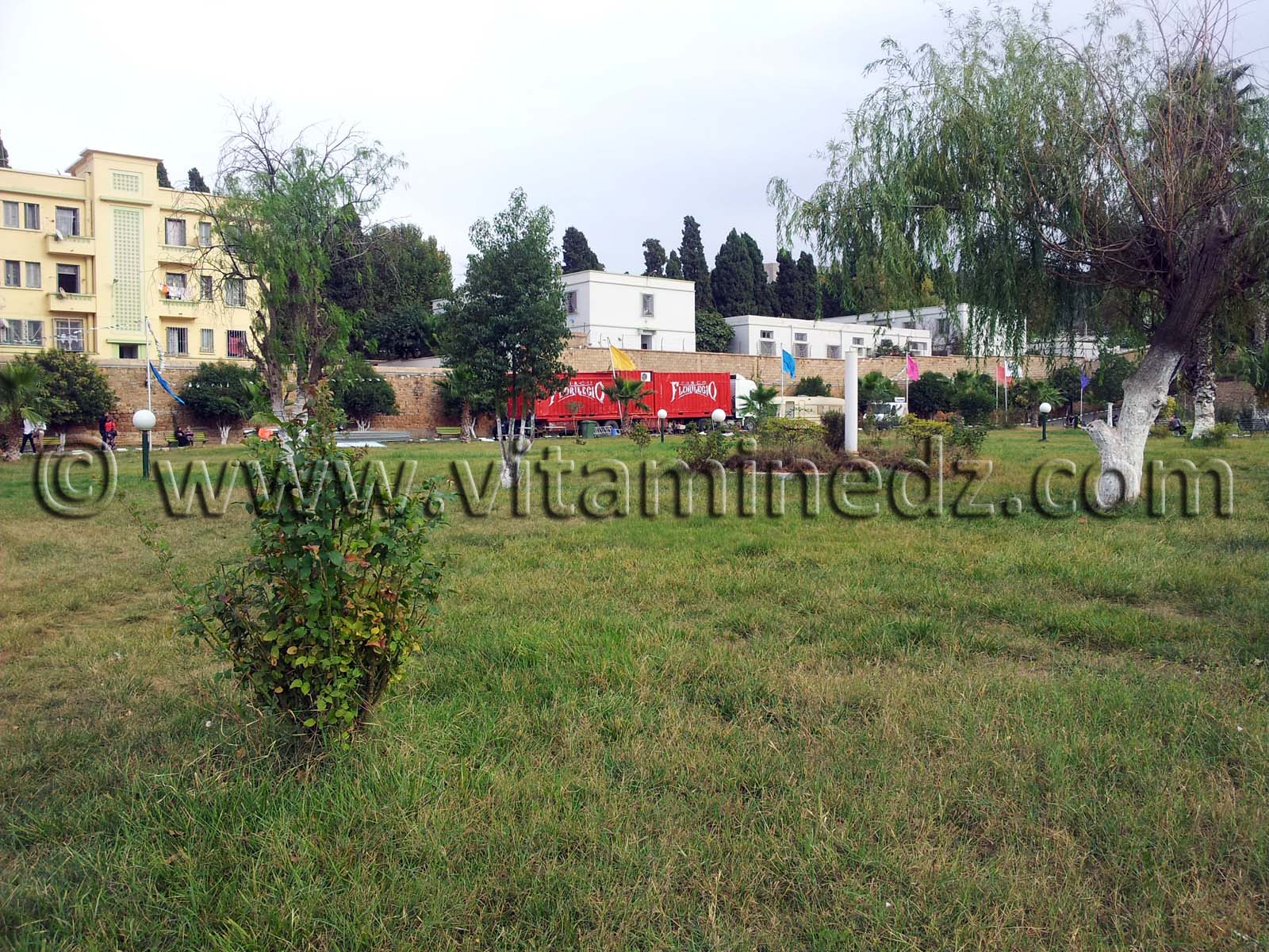 Cirque El Florilegion à Tlemcen 2013