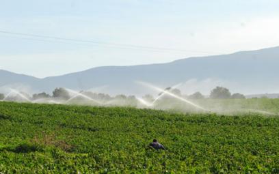 Algérie - PRODUCTION CÉRÉALIÈRE EN BAISSE POUR CAUSE DE SÉCHERESSE: L’irrigation d’appoint devient incontournable