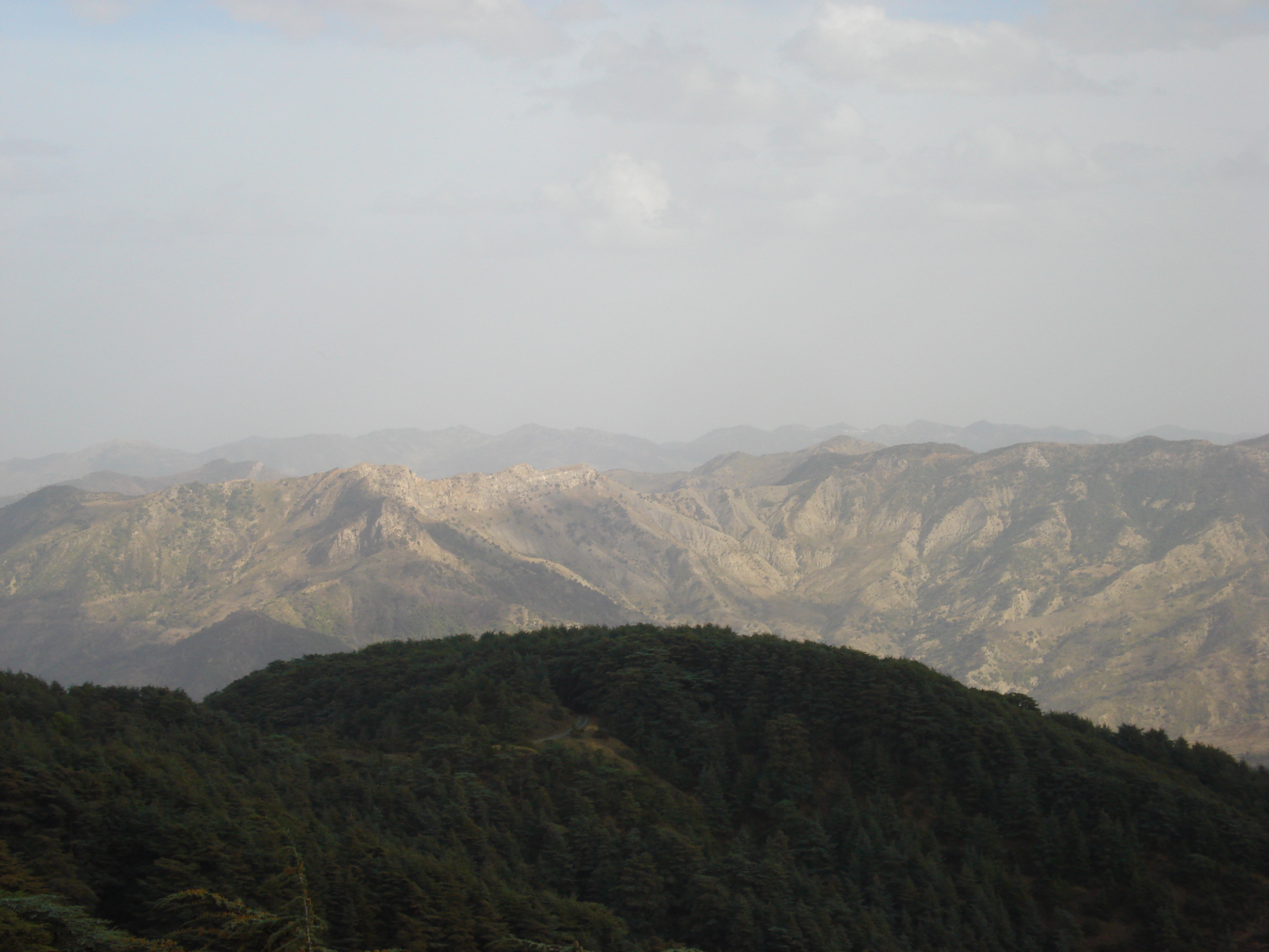 Le site de Chréa Blida.