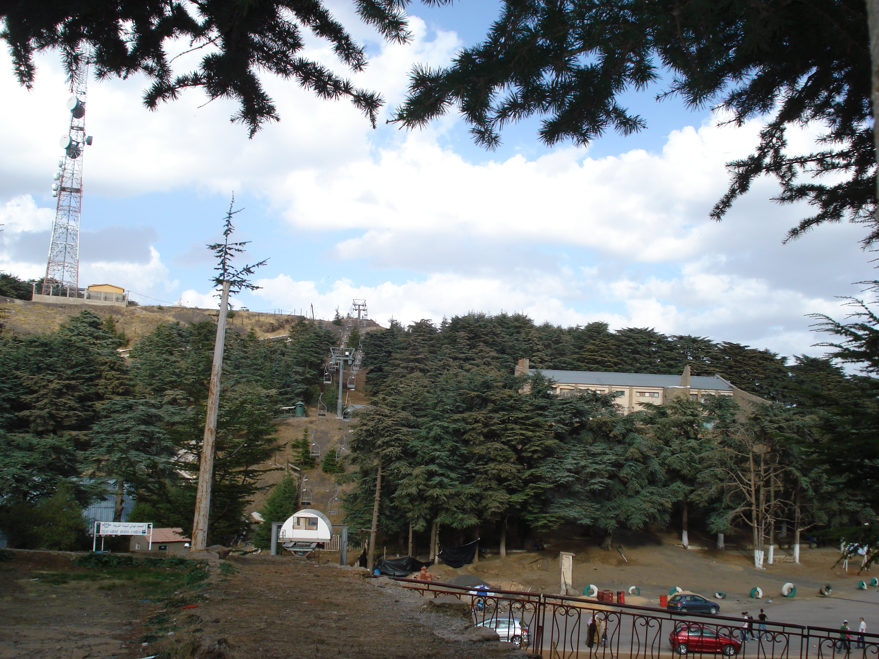 Le site de Chréa Blida.