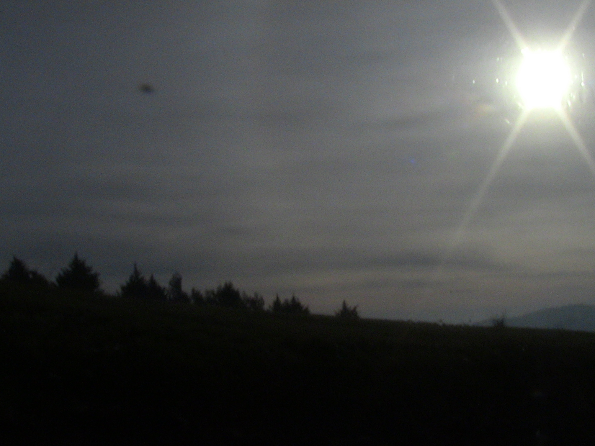 les gorges de la Chiffa