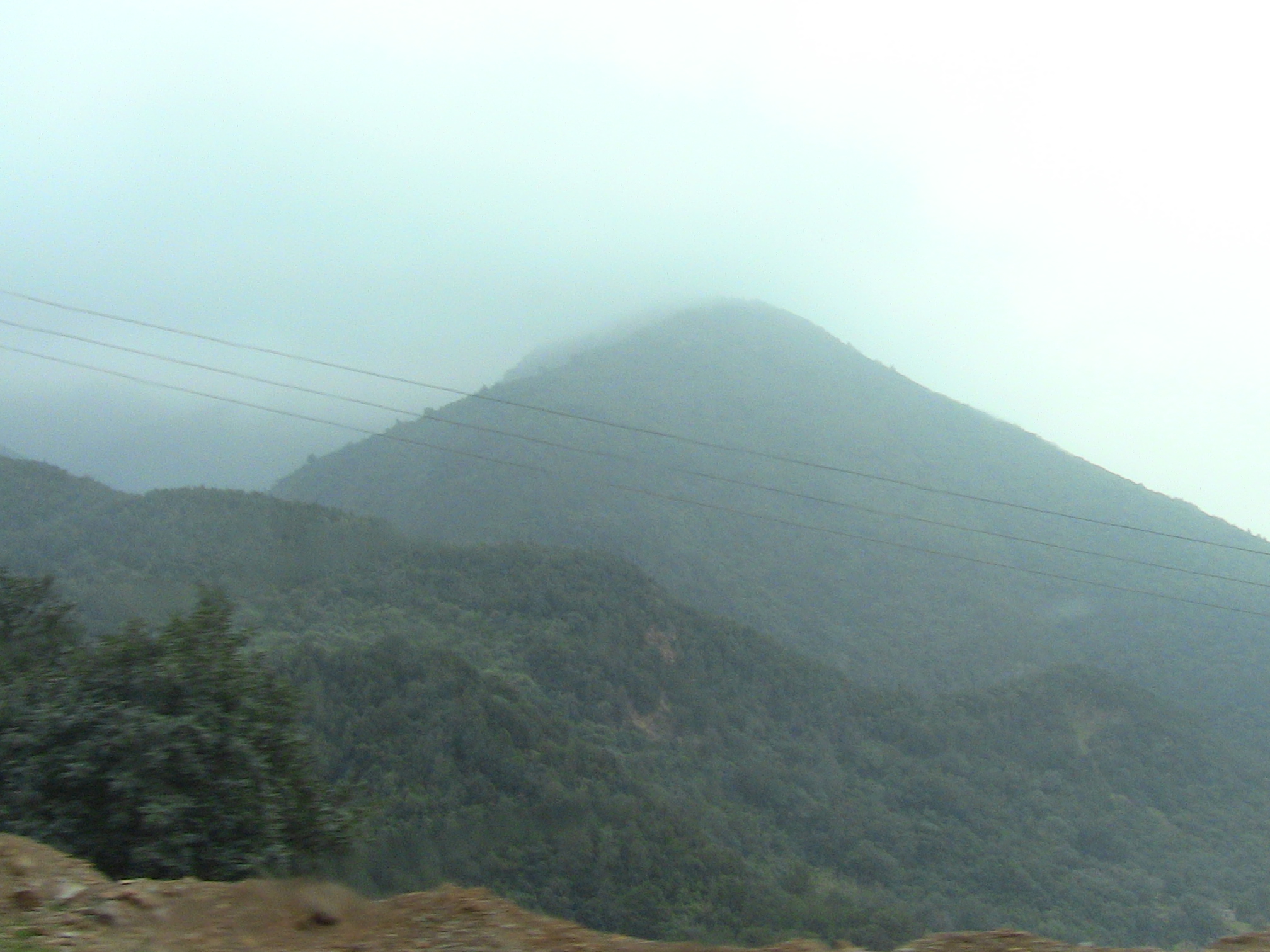 Les gorges de la Chiffa