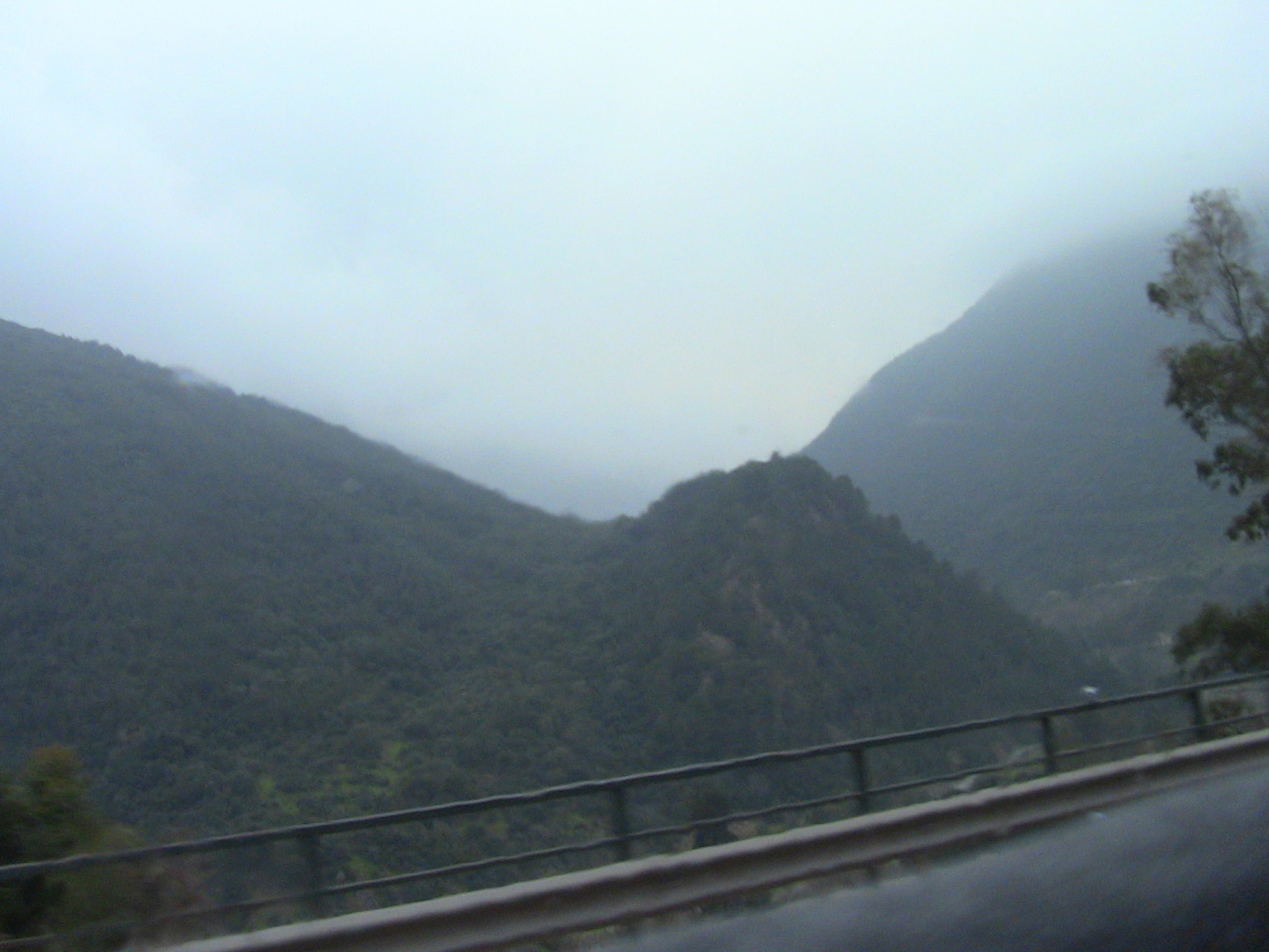 Les gorges de la Chiffa