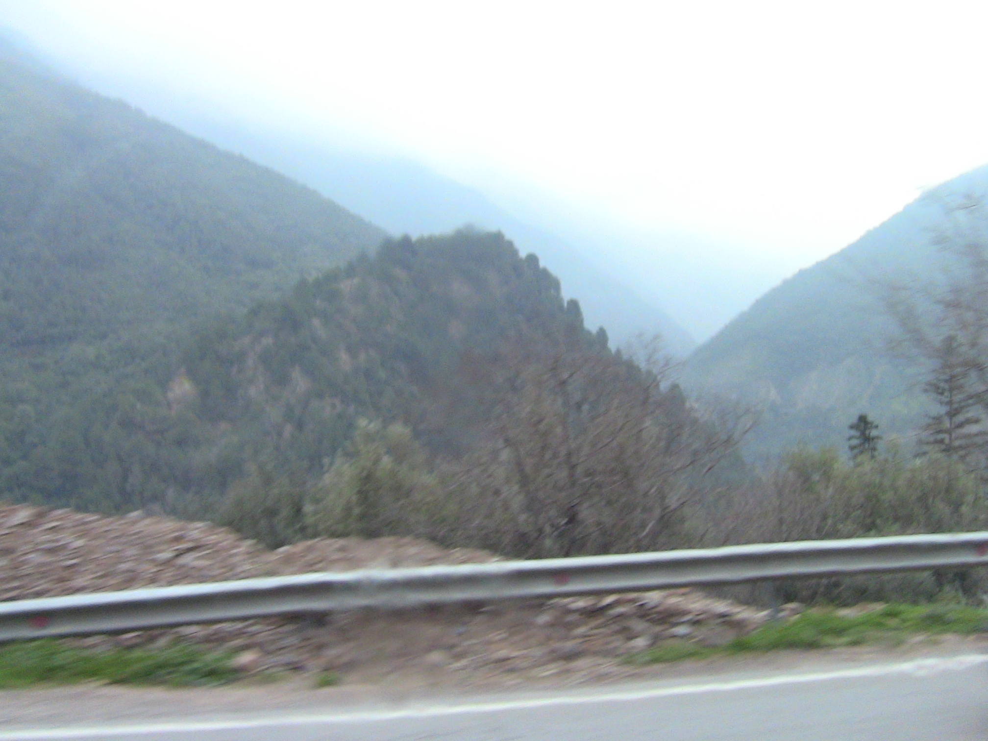 Les gorges de la Chiffa