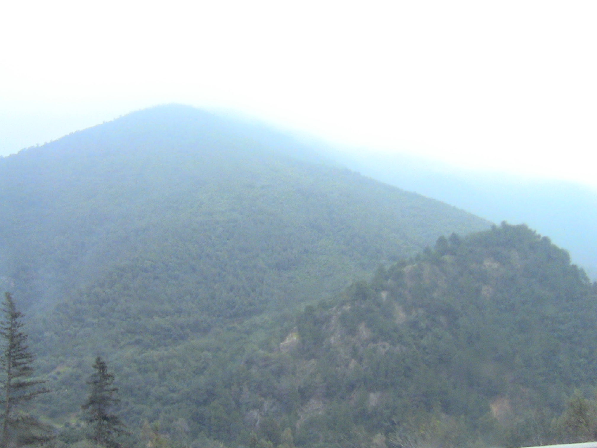 Les gorges de la Chiffa