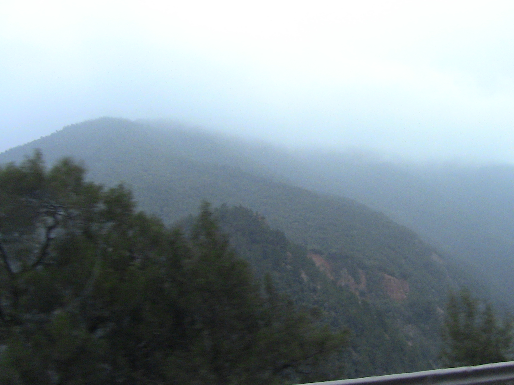 Les gorges de la Chiffa