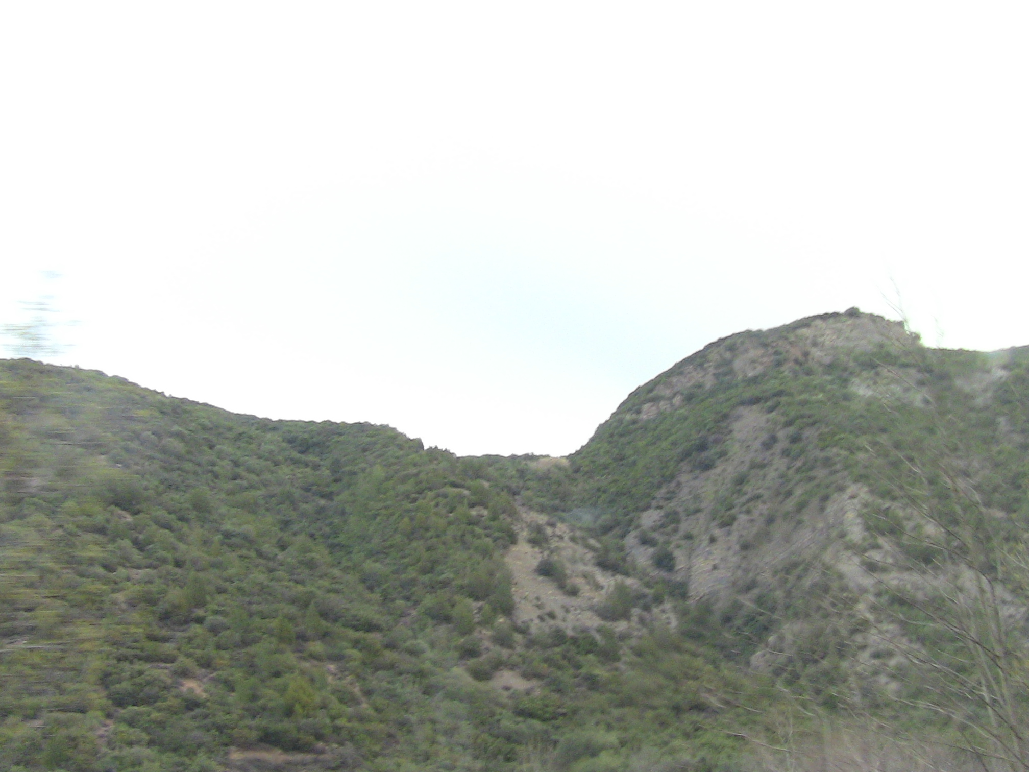 Les gorges de la Chiffa