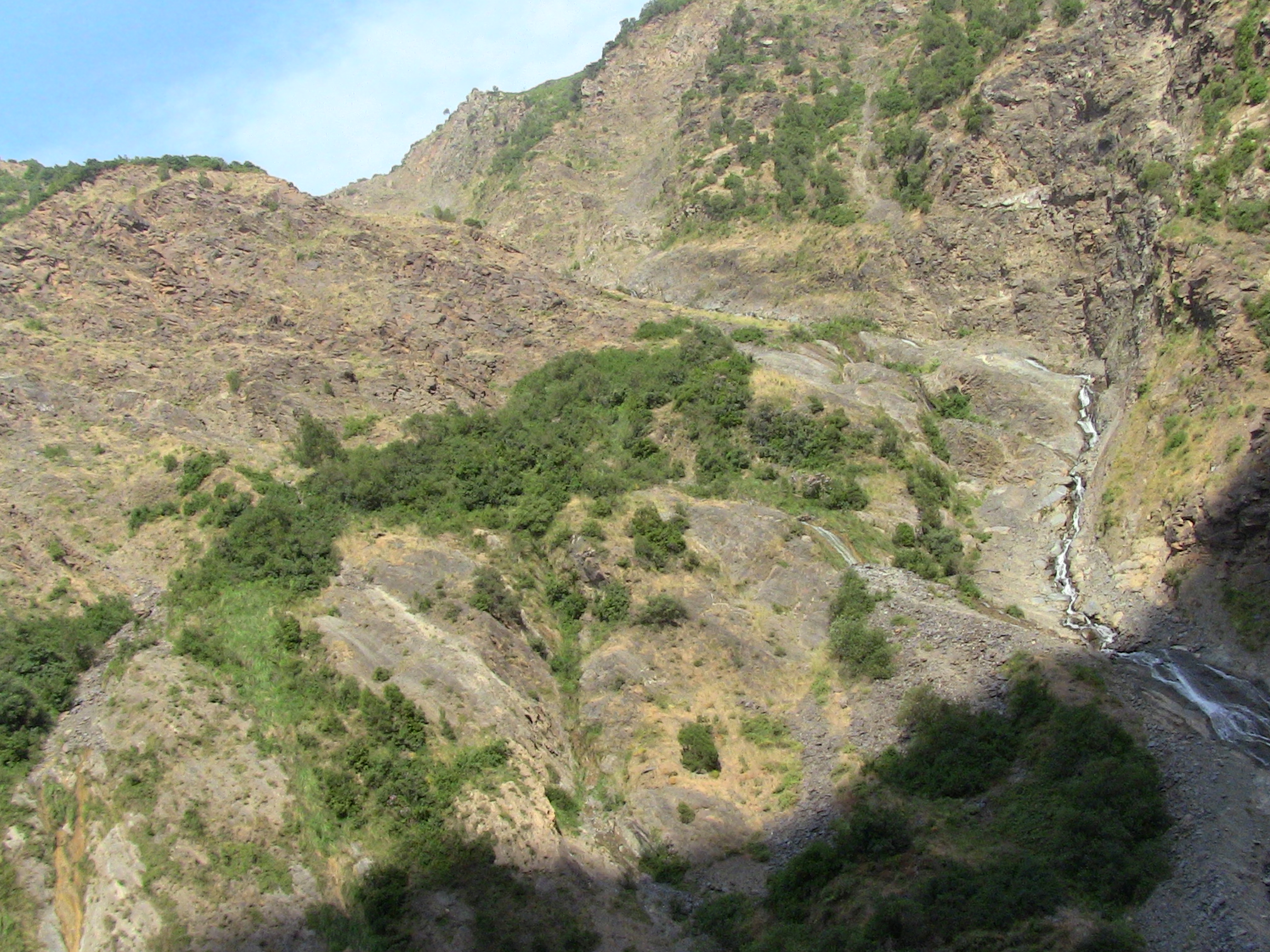 Les gorges de la Chiffa