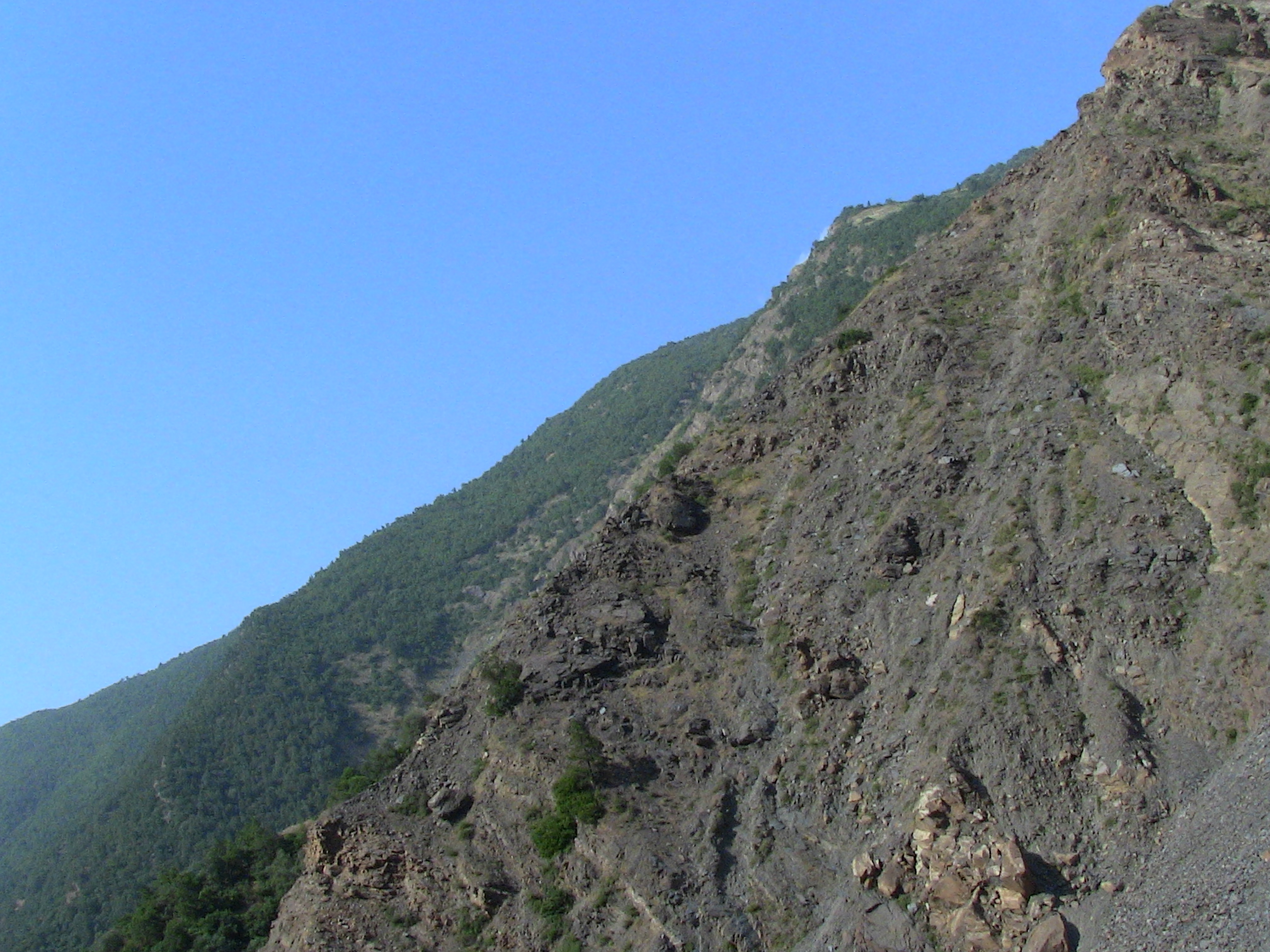 Les gorges de la Chiffa