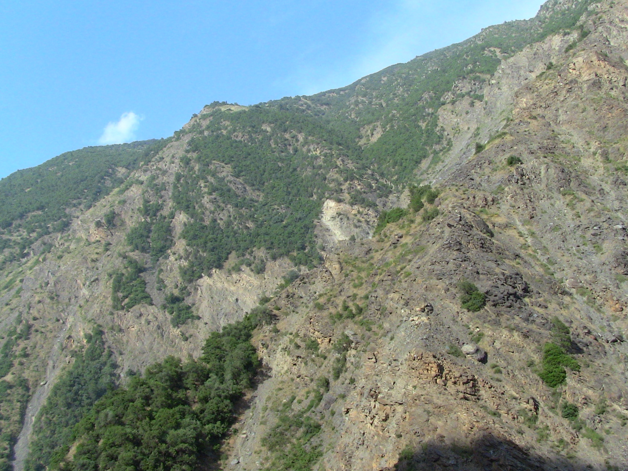 Les gorges de la Chiffa