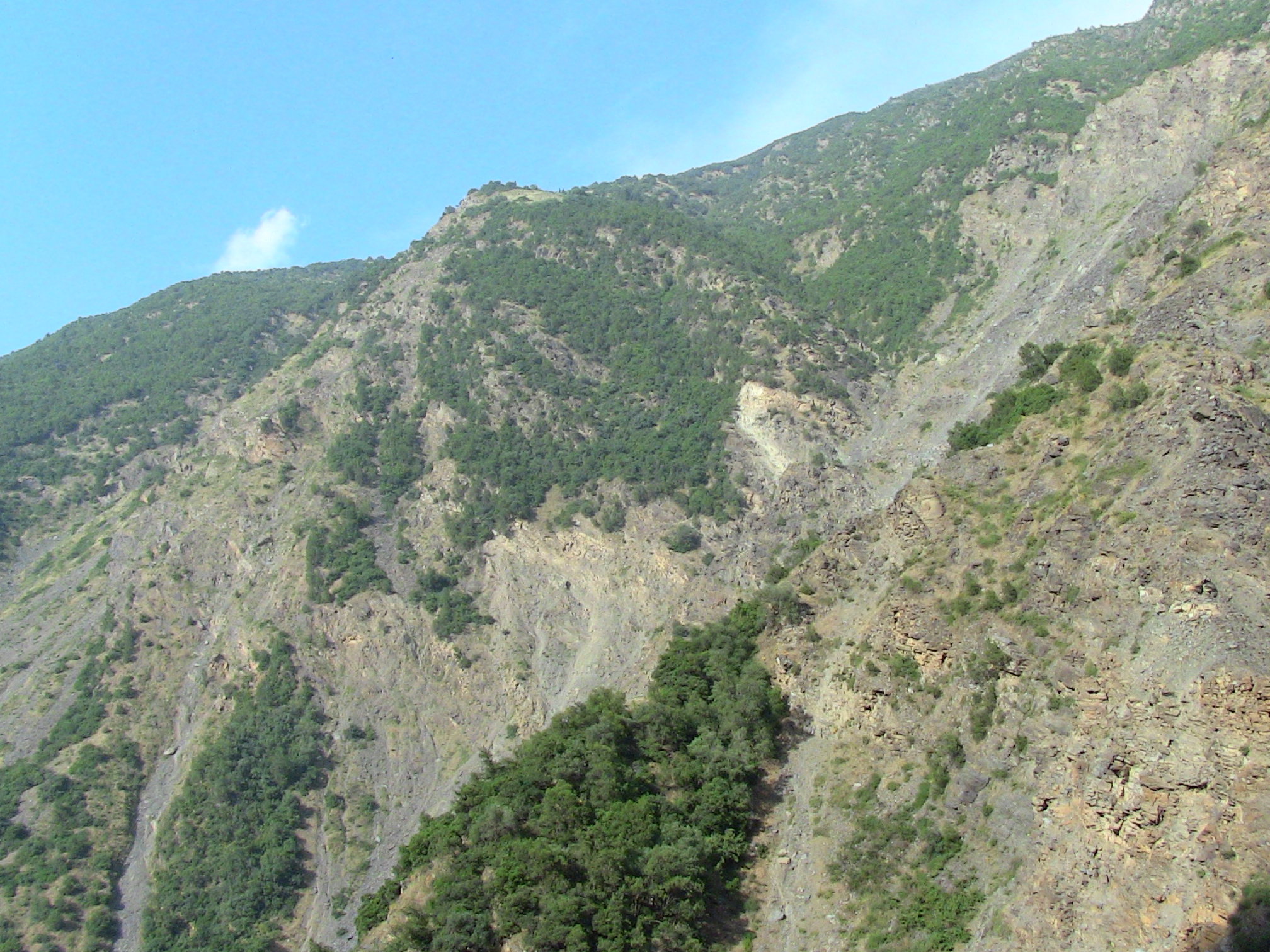 Les gorges de la Chiffa