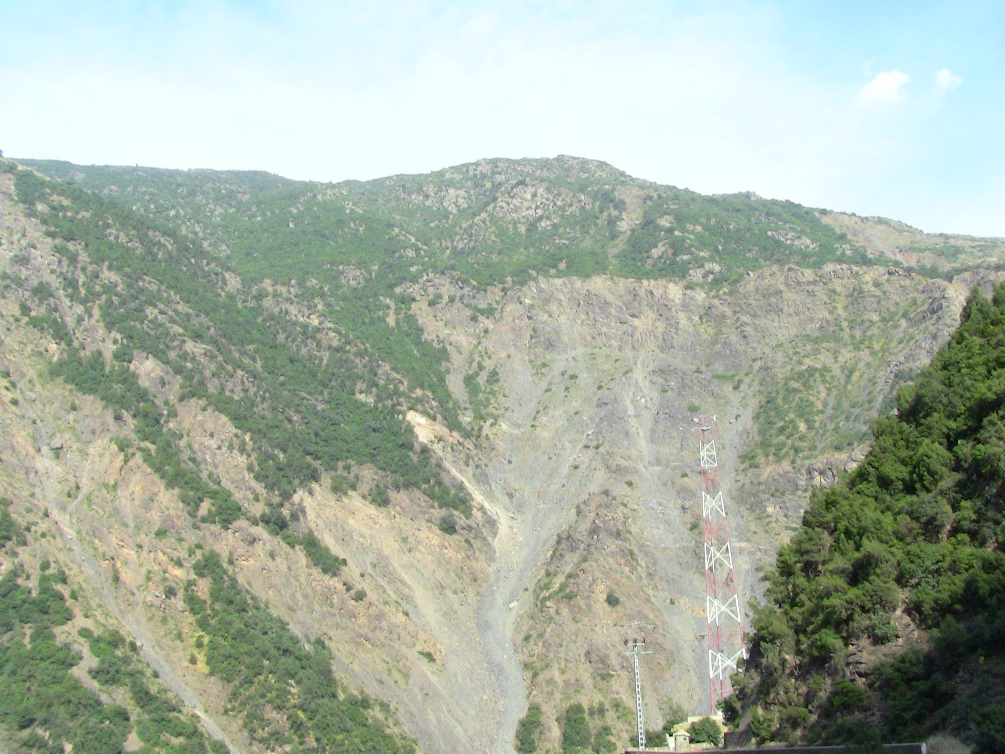 Les gorges de la Chiffa