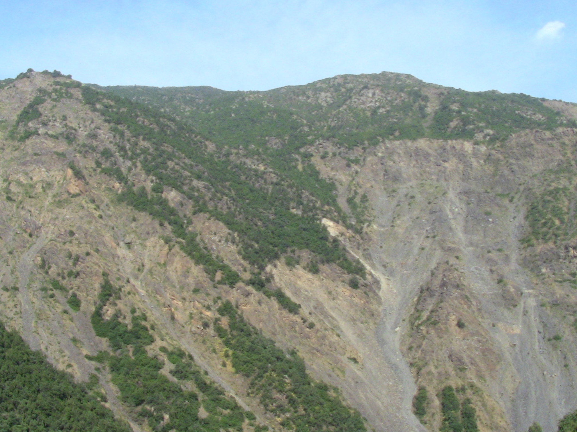 Les gorges de la Chiffa