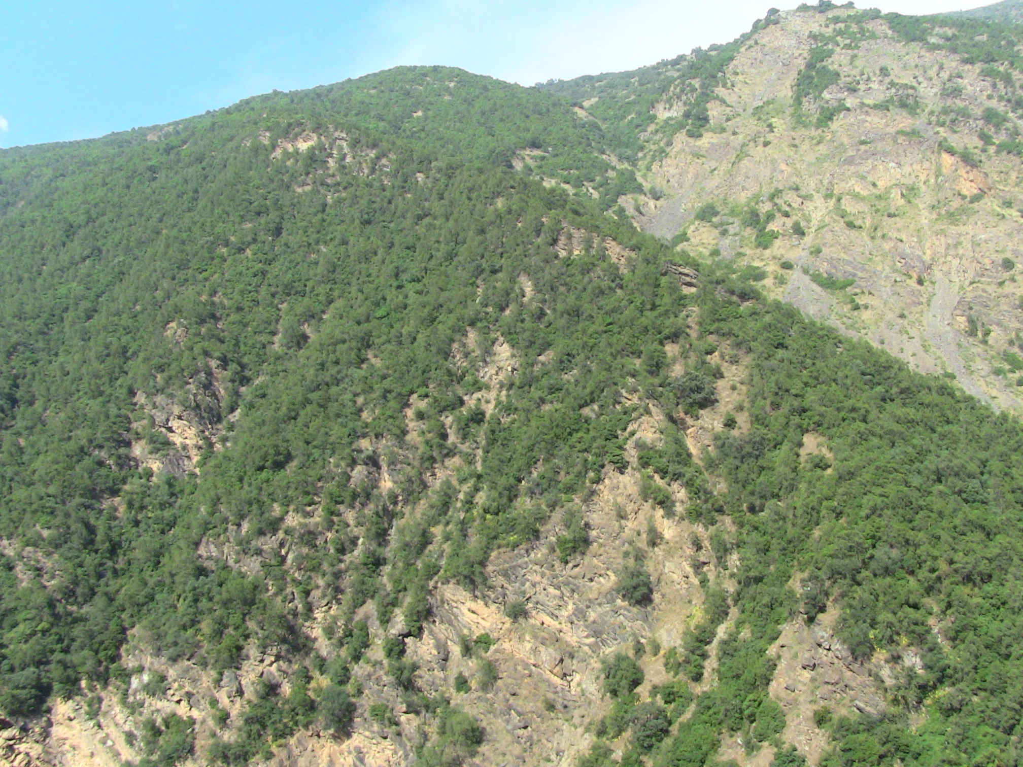 Les gorges de la Chiffa