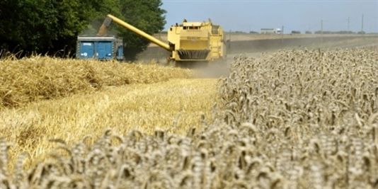 Planète - France: Un appel à agir contre les pesticides
