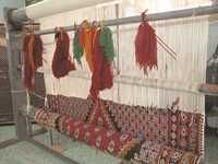 Tisseuses de Babar (Khenchela):  Des conditions de travail dignes de l’apartheid