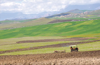 Mascara, Sur le thème : «Produit agricole naturel» Semaine de l’environnement