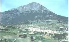 Tissemsilt : Premières chutes de neige sur les hauteurs de l’Ouarsenis