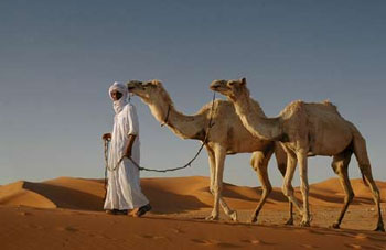 Tourisme : Les dernières mesures favorablement accueillies par les opérateurs de Tamanrasset