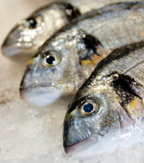 Planète - Comment la pollution plastique des océans introduit des toxines dans nos assiettes
