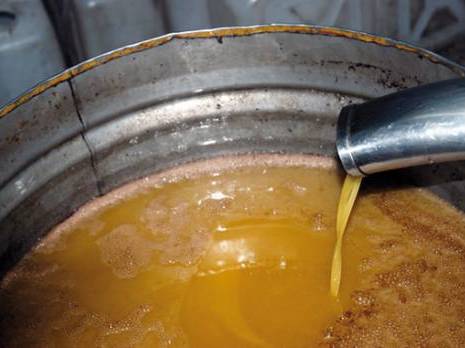 Jijel - Production oléicole:  Des prévisions revues à la baisse