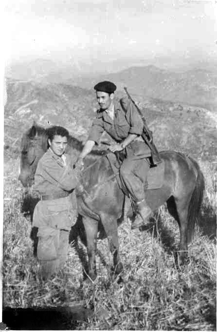 سي بلقاسم بيران