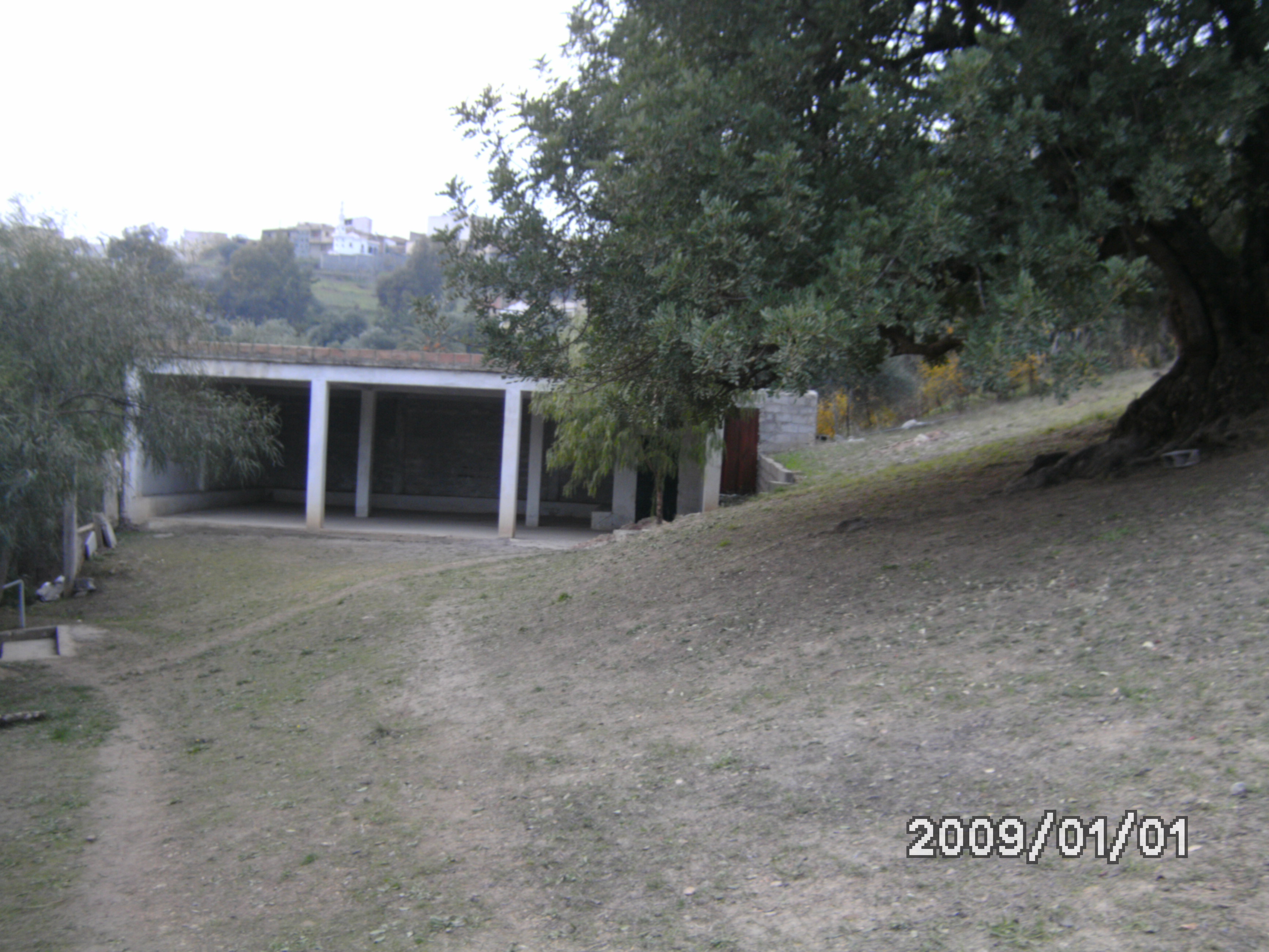 une photo prise au cimetière du village takhlicht