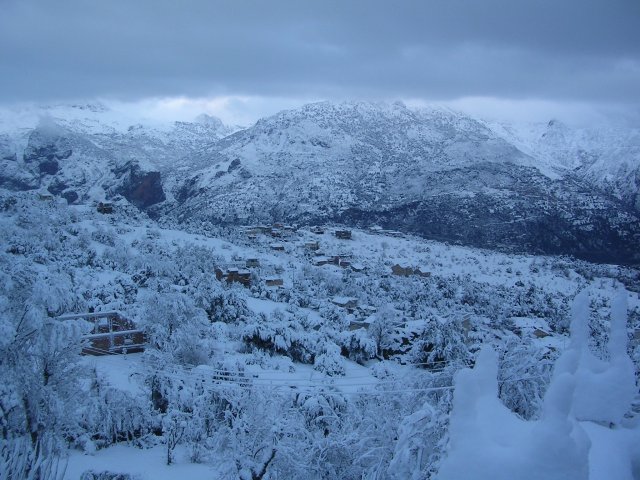 Blida -  Des aires de stockage de gaz butane pour les communes montagneuses