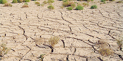 Béchar -  La sécheresse inquiète