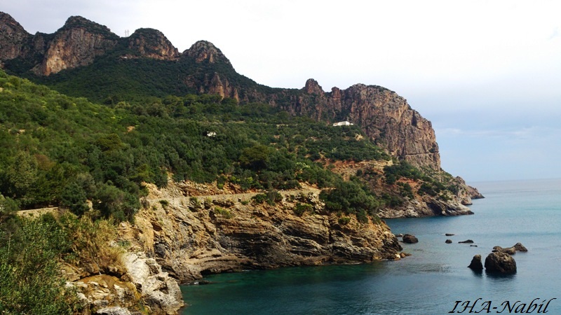 bejaia