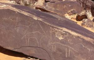 Mise en place en 2014 d’un dispositif de protection du site préhistorique de Taghit